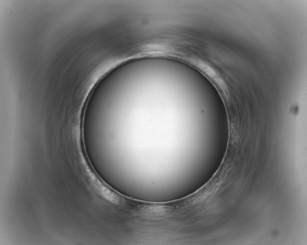 X0000099441431200805161123
