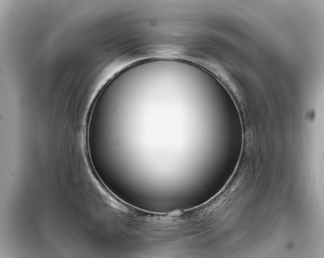 X0000099441432200805161123