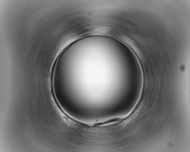 X0000099441434200805161123