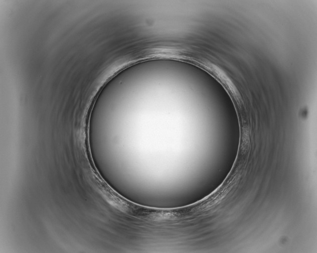 X0000099441435200805161123