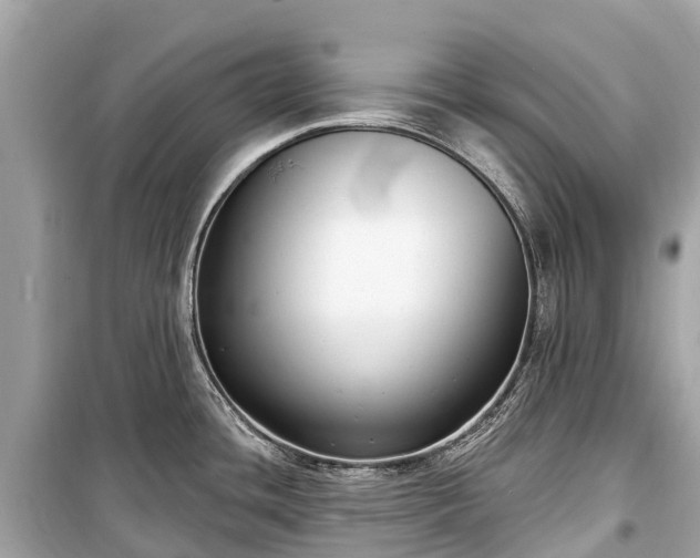 X0000099441436200805161123