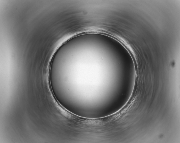 X0000099441437200805161123