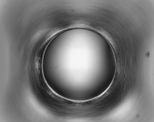 X0000099441438200805161123