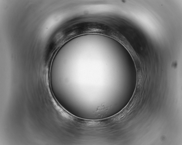 X0000099441439200805161123