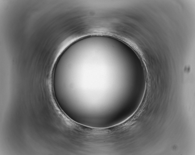 X0000099441440200805161123