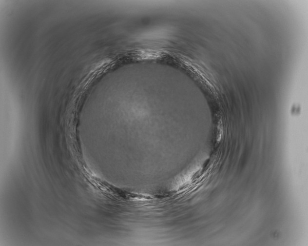 X0000099441441200805161123