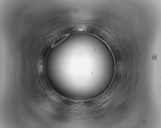 X0000099441442200805161123