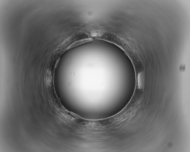 X0000099441443200805161123
