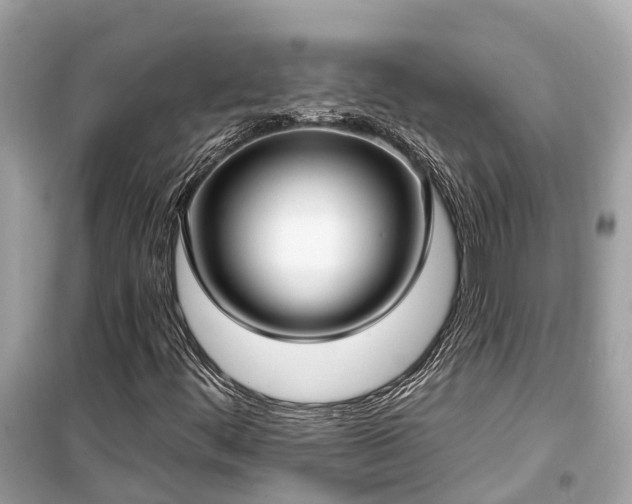 X0000099441444200805161123