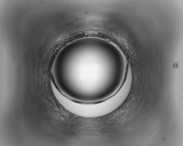 X0000099441445200805161123