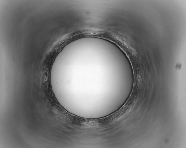 X0000099441447200805161122