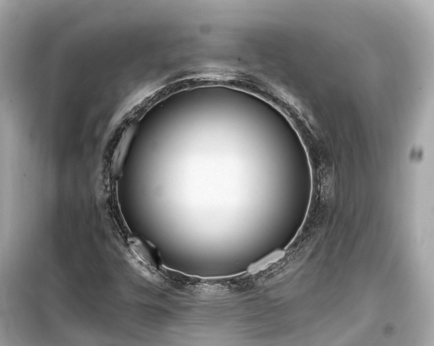 X0000099441448200805161122