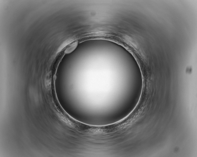 X0000099441450200805161122