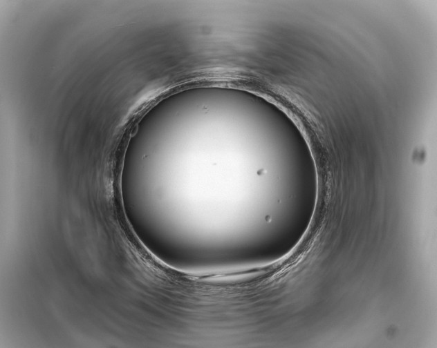 X0000099441451200805161122