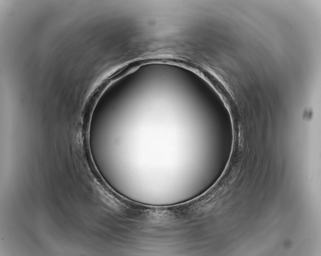 X0000099441452200805161122