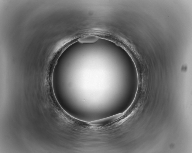 X0000099441453200805161122
