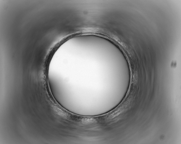 X0000099441454200805161122