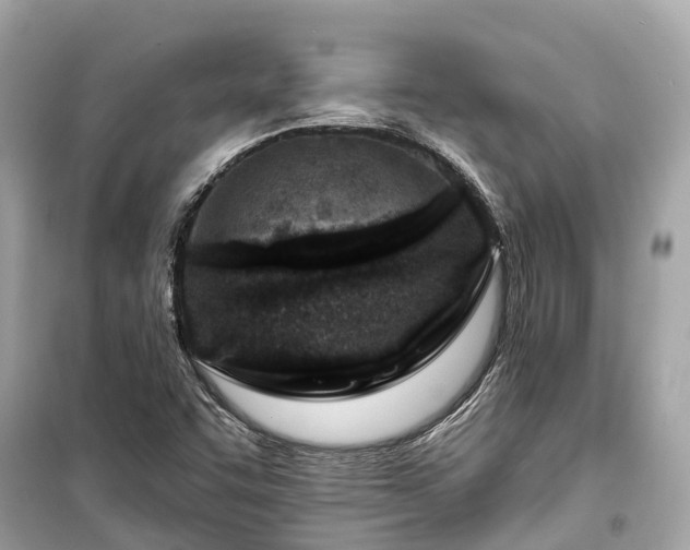 X0000099441455200805161122