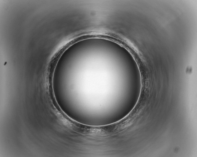 X0000099441456200805161122