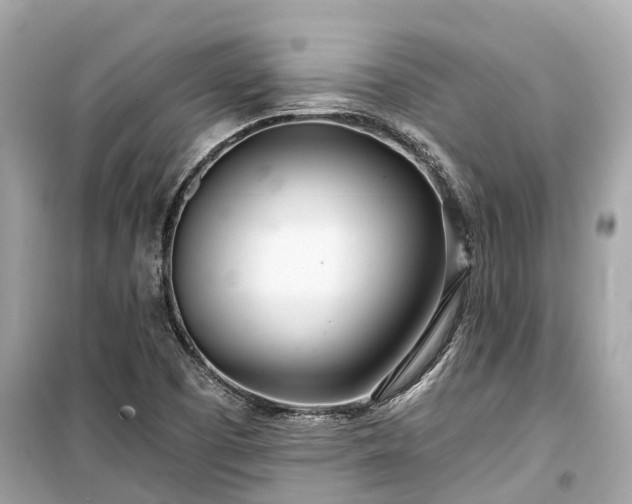 X0000099441457200805161122