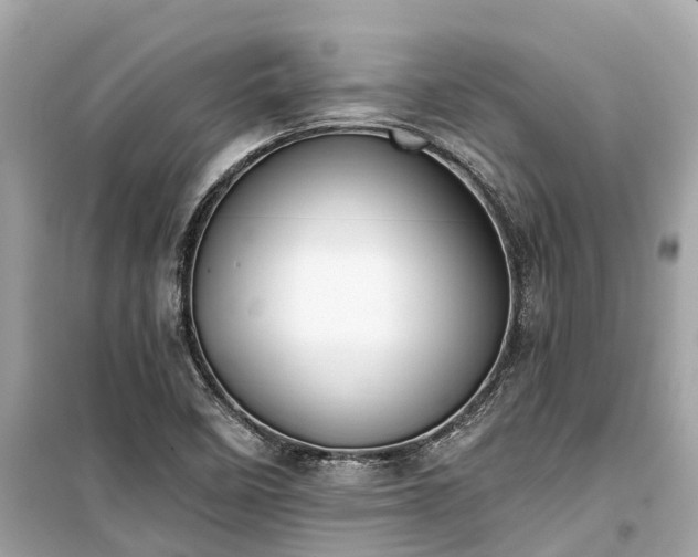 X0000099441458200805161122