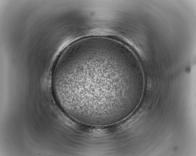 X0000099441459200805161122
