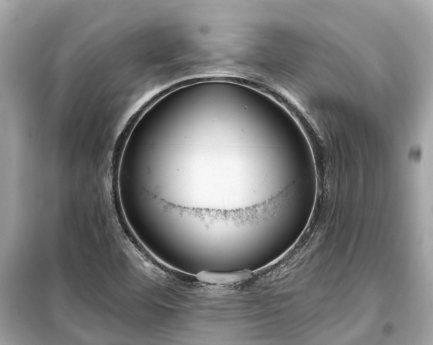 X0000099441460200805161122