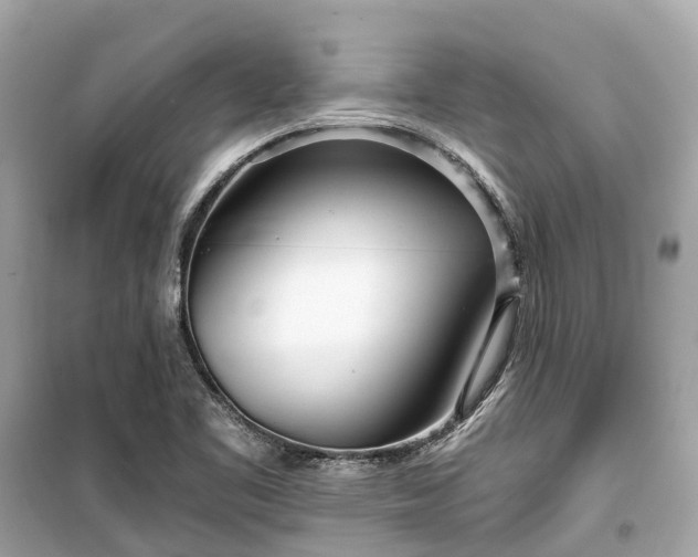 X0000099441461200805161122