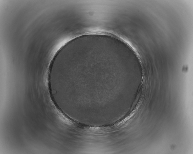 X0000099441463200805161122