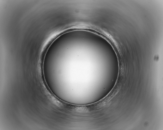 X0000099441464200805161122
