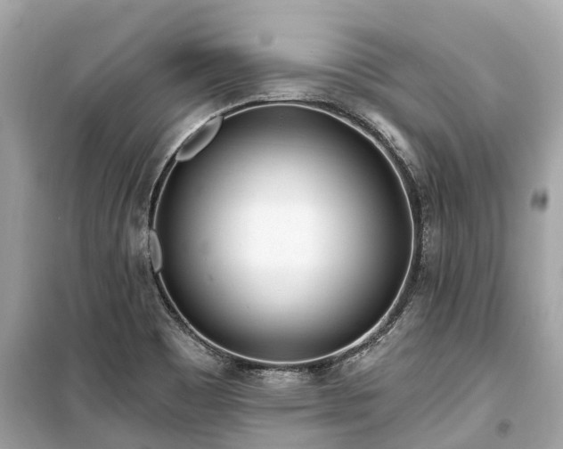 X0000099441465200805161122