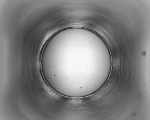 X0000099441466200805161122