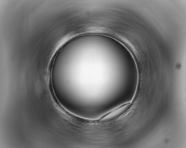 X0000099441467200805161122