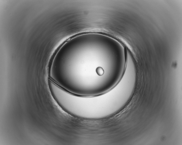 X0000099441468200805161122
