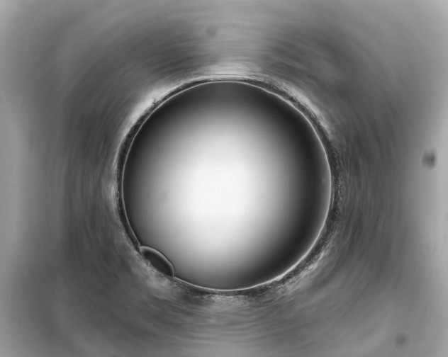 X0000099441469200805161122