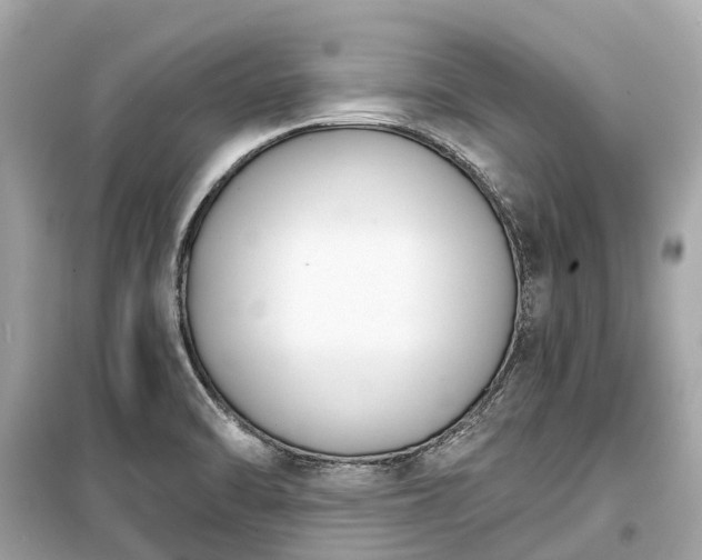 X0000099441470200805161122