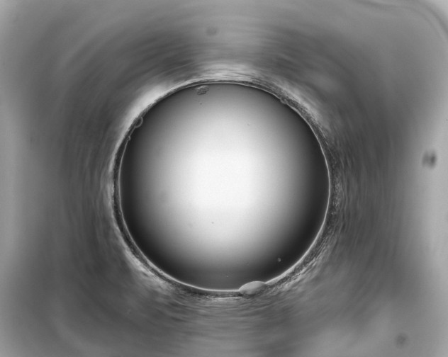 X0000099441471200805161122