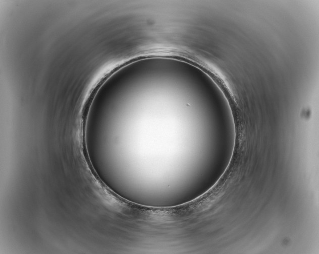 X0000099441472200805161122