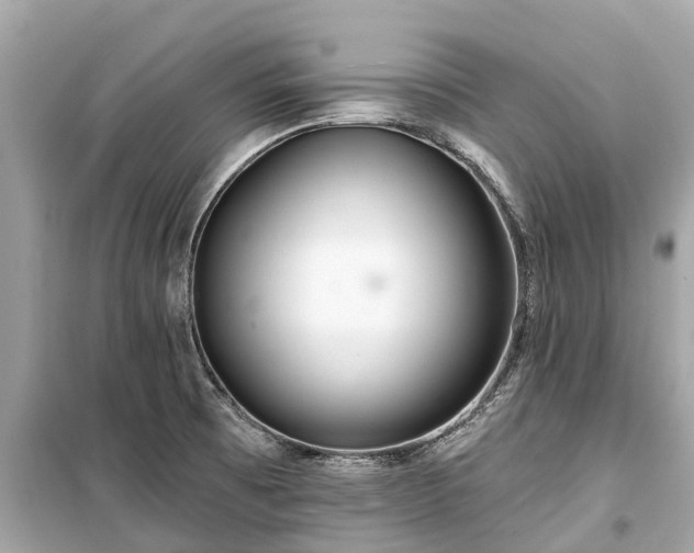 X0000099441473200805161122
