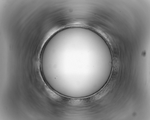 X0000099441474200805161122