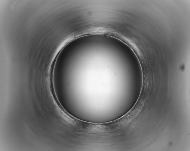 X0000099441475200805161122