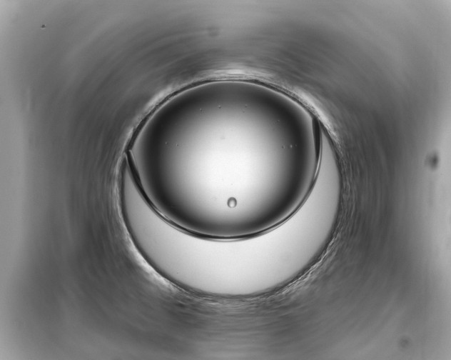 X0000099441476200805161122
