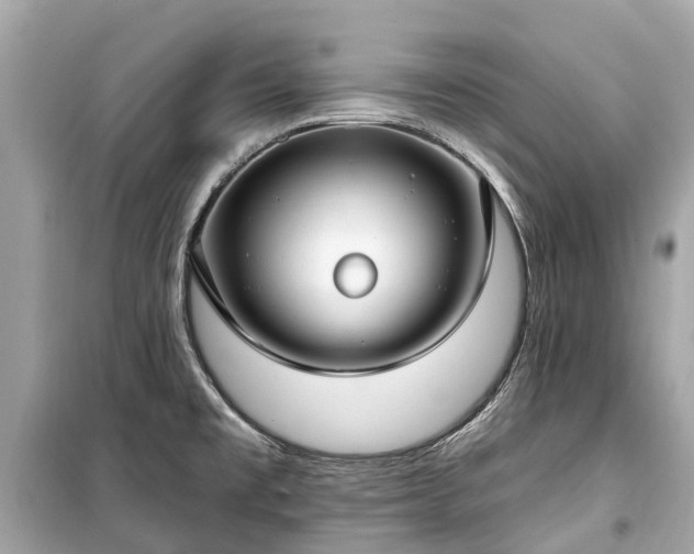 X0000099441477200805161122