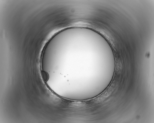 X0000099441478200805161122