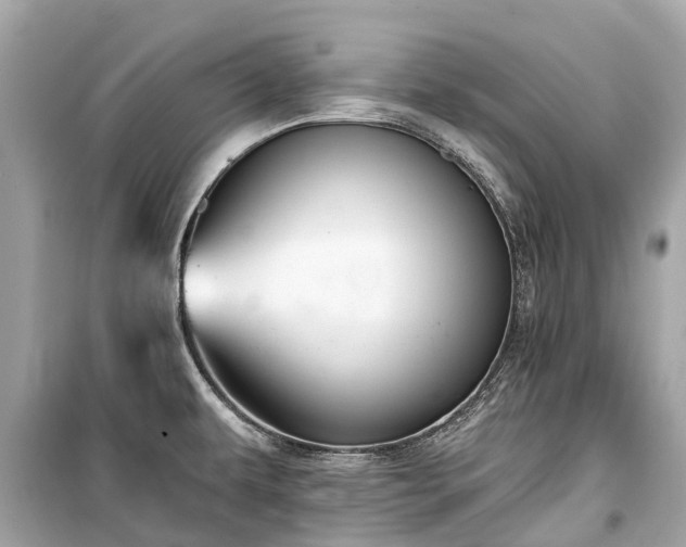 X0000099441479200805161122