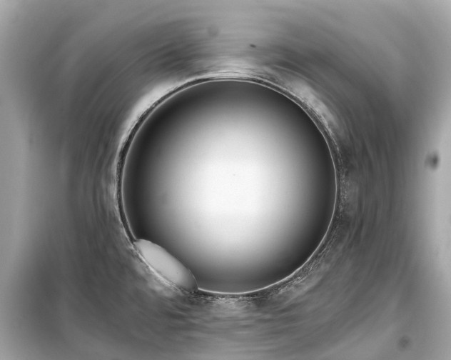 X0000099441480200805161122