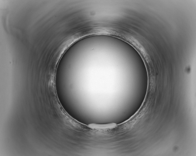 X0000099441481200805161122
