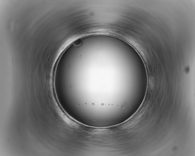 X0000099441482200805161122
