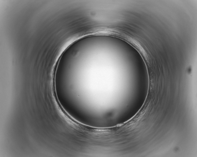 X0000099441483200805161122
