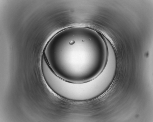 X0000099441484200805161122